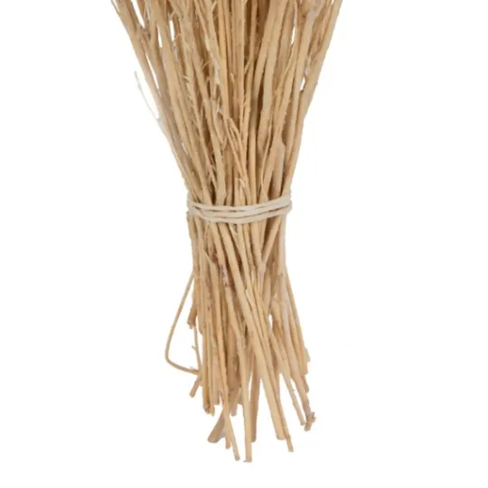 Kirkland's Home Preserved Natural Bleached Staavia Bush- Stems & Bouquets