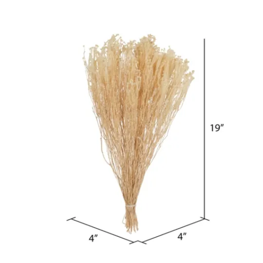 Kirkland's Home Preserved Natural Bleached Staavia Bush- Stems & Bouquets