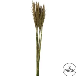 Kirkland's Home Preserved Plume Reed Bundles, Set Of 2- Stems & Bouquets