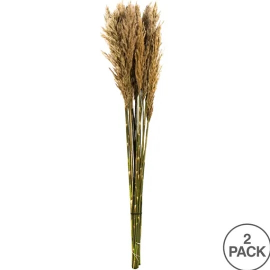 Kirkland's Home Preserved Plume Reed Bundles, Set Of 2- Stems & Bouquets