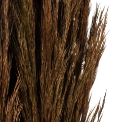 Kirkland's Home Preserved Plume Reed Bundles, Set Of 2- Stems & Bouquets
