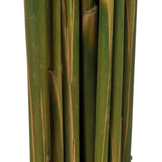 Kirkland's Home Preserved Plume Reed Bundles, Set Of 2- Stems & Bouquets
