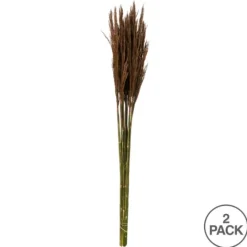 Kirkland's Home Preserved Plume Reed Bundles, Set Of 2- Stems & Bouquets