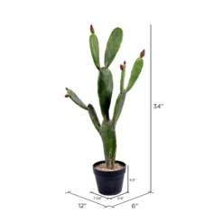 Kirkland's Home Prickly Pear Cactus In Black Pot- Trees & Topiaries