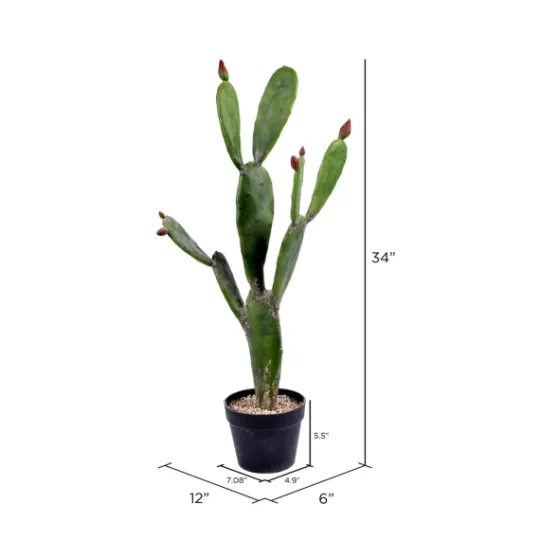 Kirkland's Home Prickly Pear Cactus In Black Pot- Trees & Topiaries