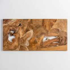 Kirkland's Home Raw Teak Root Panel Wall Plaque- Wall Plaques