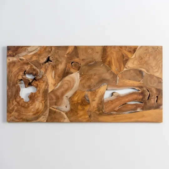 Kirkland's Home Raw Teak Root Panel Wall Plaque- Wall Plaques