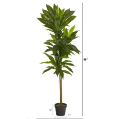 Kirkland's Home Real Touch Dracaena Tree In Black Planter- Trees & Topiaries