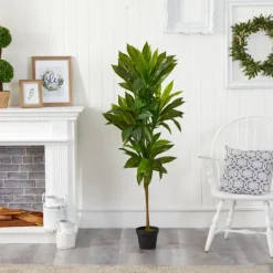 Kirkland's Home Real Touch Dracaena Tree In Black Planter- Trees & Topiaries