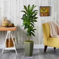 Kirkland's Home Real Touch Dracaena Tree In Green Planter, 4.5 Ft.- Trees & Topiaries