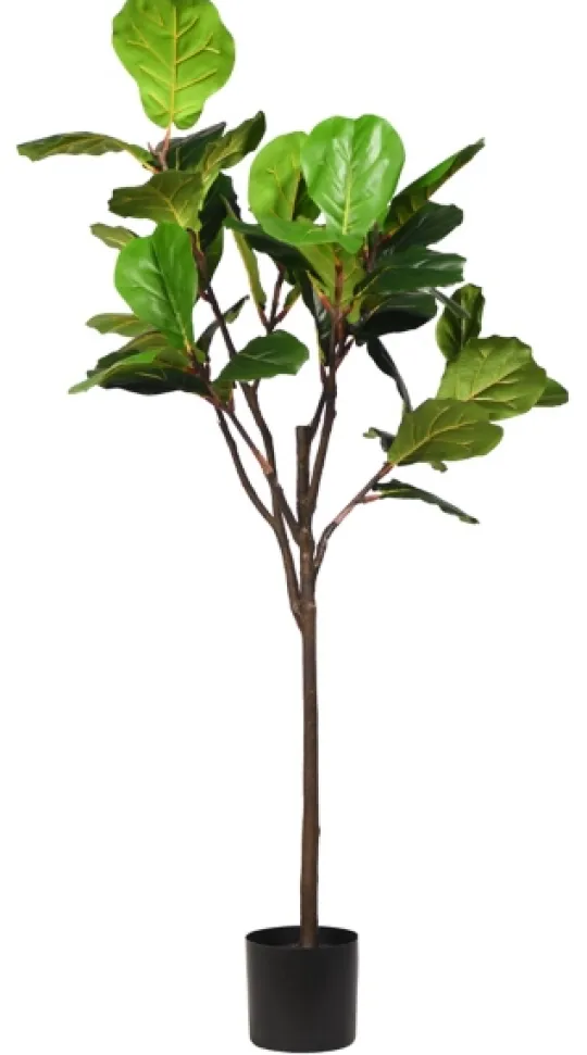 Kirkland's Home Real Touch Fiddle Leaf In Nursery Planter, 70 In.- Stems & Bouquets