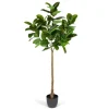 Kirkland's Home Real Touch Rubber Tree In Black Pot, 6 Ft.- Trees & Topiaries
