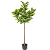 Kirkland's Home Real Touch Variegated Rubber Tree, 6 Ft.- Trees & Topiaries