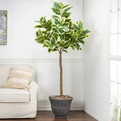 Kirkland's Home Real Touch Variegated Rubber Tree, 6 Ft.- Trees & Topiaries