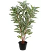 Kirkland's Home Real Touch Zebra Plant In Nursery Planter- Trees & Topiaries