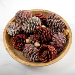 Kirkland's Home Red Glitter Cinnamon Pinecones Potpourri- Home Fragrance