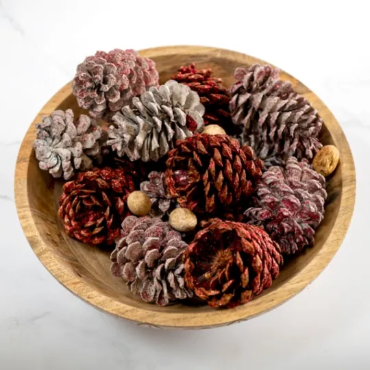 Kirkland's Home Red Glitter Cinnamon Pinecones Potpourri- Home Fragrance