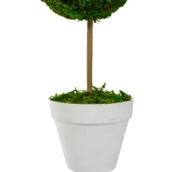 Kirkland's Home Reindeer Moss Ball Topiary In White Planter- Trees & Topiaries