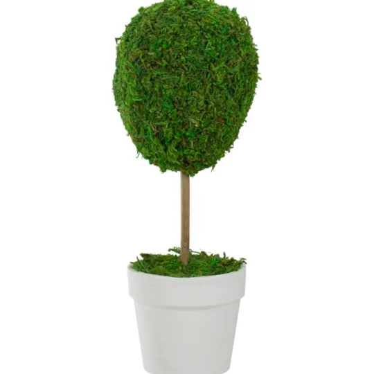 Kirkland's Home Reindeer Moss Ball Topiary In White Pot- Trees & Topiaries