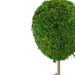 Kirkland's Home Reindeer Moss Ball Topiary In White Pot- Trees & Topiaries