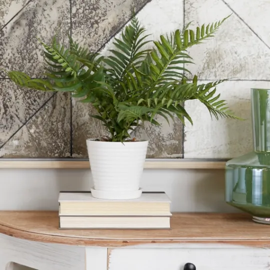 Kirkland's Home River Rock Fern In Ribbed White Planter- Arrangements & Greenery