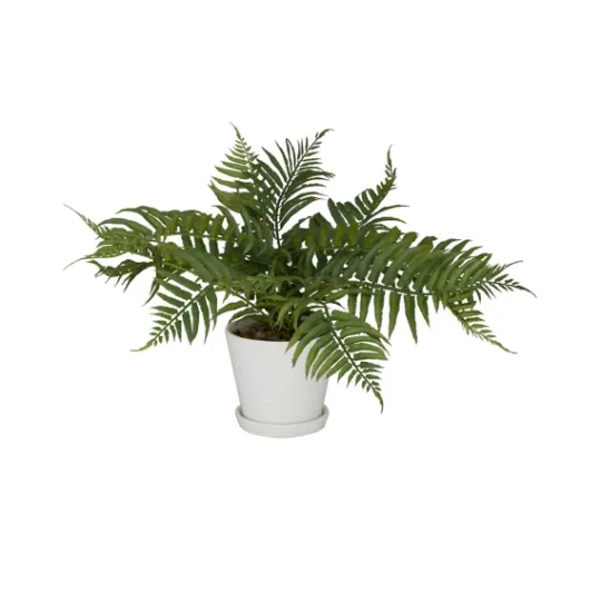 Kirkland's Home River Rock Fern In Ribbed White Planter- Arrangements & Greenery