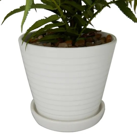 Kirkland's Home River Rock Fern In Ribbed White Planter- Arrangements & Greenery