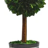 Kirkland's Home Round Boxwood Topiary In Black Planter, 14 In.- Trees & Topiaries