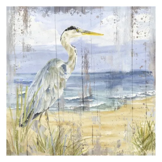 Kirkland's Home Rustic Birds Of The Coast I Canvas Art Print- Canvas Art