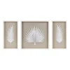 Kirkland's Home Sabal Rice Paper Palm Shadowbox Plaques, Set Of 3- Wall Plaques