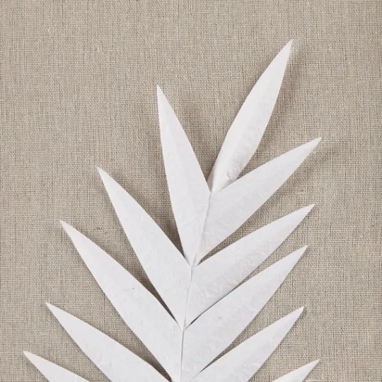 Kirkland's Home Sabal Rice Paper Palm Shadowbox Plaques, Set Of 3- Wall Plaques