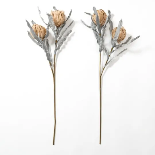 Kirkland's Home Sandy Protea Stem- Stems & Bouquets