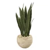 Kirkland's Home Sanserviera River Rock Plant In Sand Planter- Trees & Topiaries