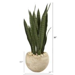 Kirkland's Home Sanserviera River Rock Plant In Sand Planter- Trees & Topiaries