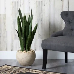 Kirkland's Home Sanserviera River Rock Plant In Sand Planter- Trees & Topiaries