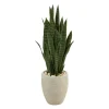 Kirkland's Home Sansevieria Arrangement In Sand Planter- Trees & Topiaries