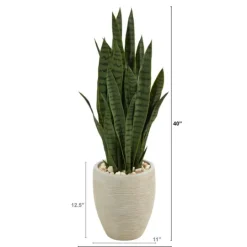 Kirkland's Home Sansevieria Arrangement In Sand Planter- Trees & Topiaries