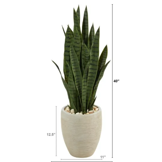 Kirkland's Home Sansevieria Arrangement In Sand Planter- Trees & Topiaries