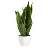 Kirkland's Home Sansevieria Arrangement In White Planter- Arrangements & Greenery