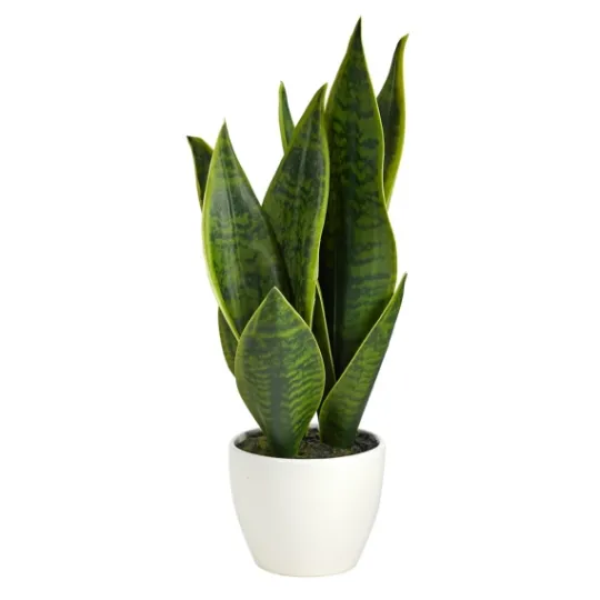 Kirkland's Home Sansevieria Arrangement In White Planter- Arrangements & Greenery