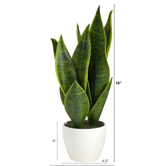 Kirkland's Home Sansevieria Arrangement In White Planter- Arrangements & Greenery