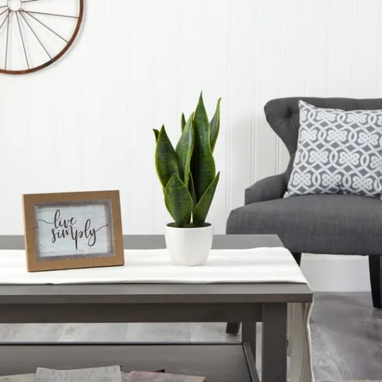 Kirkland's Home Sansevieria Arrangement In White Planter- Arrangements & Greenery