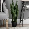 Kirkland's Home Sansevieria Floor Plant In Black Planter- Trees & Topiaries