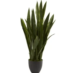 Kirkland's Home Sansevieria Floor Plant In Black Planter- Trees & Topiaries