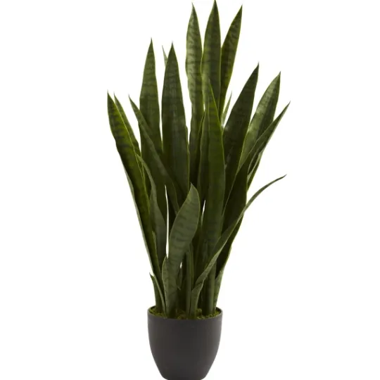 Kirkland's Home Sansevieria Floor Plant In Black Planter- Trees & Topiaries
