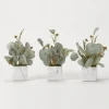 Kirkland's Home Seeded Eucalyptus Branches In Cubes, Set Of 3- Arrangements & Greenery