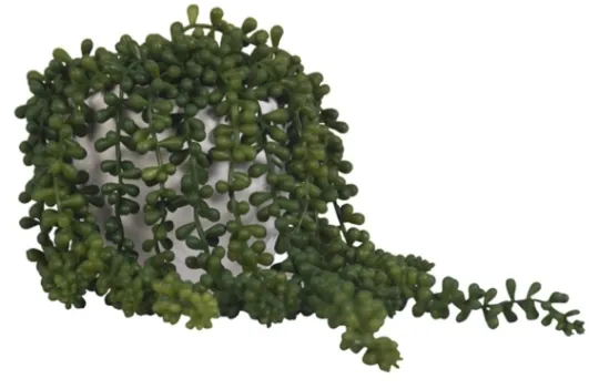 Kirkland's Home Seedum In White Bowl Planter- Arrangements & Greenery