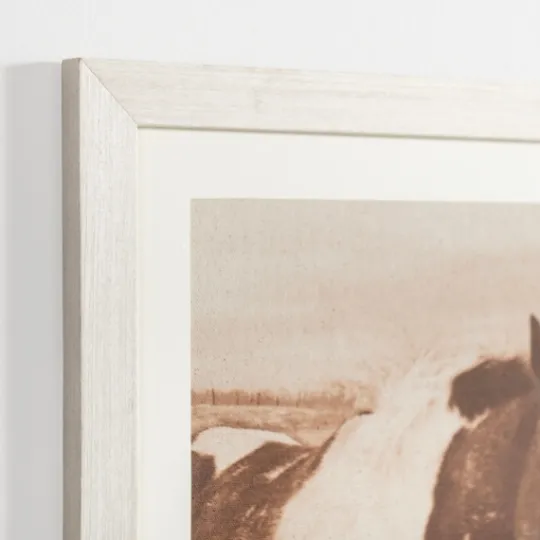 Kirkland's Home Sepia Horse On Linen Framed Art Print- Framed Art