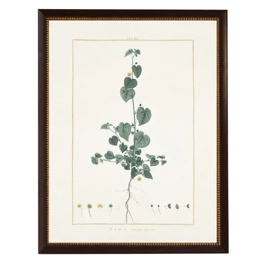 Kirkland's Home Sida Greenery Black Beaded Framed Art Print- Framed Art