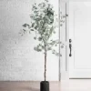 Kirkland's Home Silver Dollar Eucalyptus Tree In Brown Planter- Trees & Topiaries